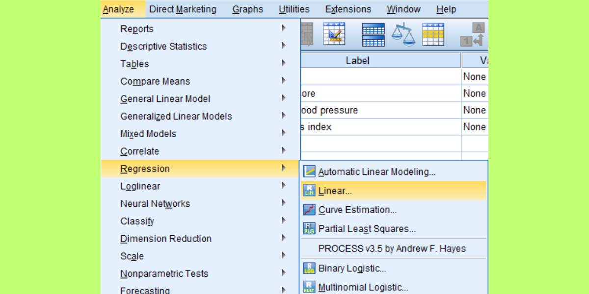 Multiple Regression Analysis in SPSS