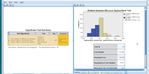 Wilcoxon Signed-Rank Test in SPSS
