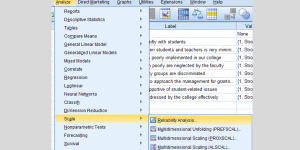 Reliability analysis in SPSS