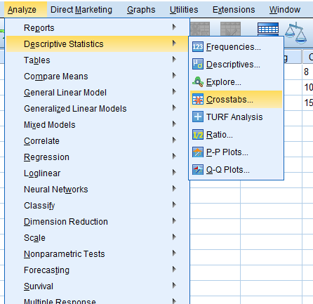 chi-square test in spss