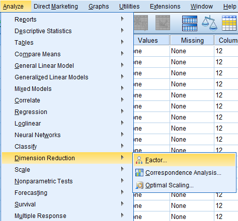 Exploratory Factor Analysis in SPSS